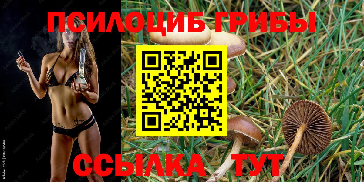 Дюртюли  Псилоцибиновые грибы Cubensis  Вход с VPN 
